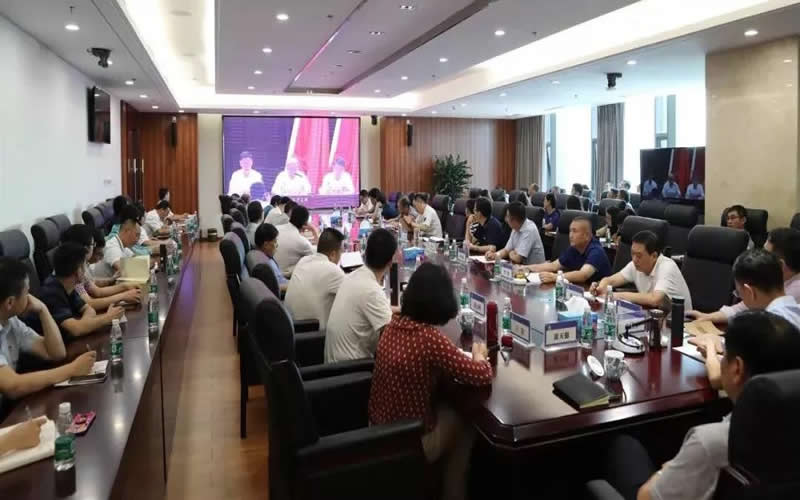 1563182036810804.jpg 2.jpg