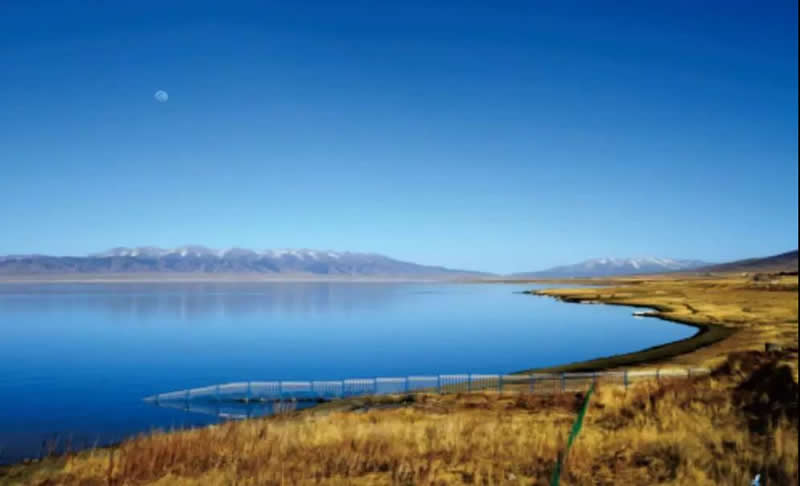 1575008711136944.jpg 3.jpg