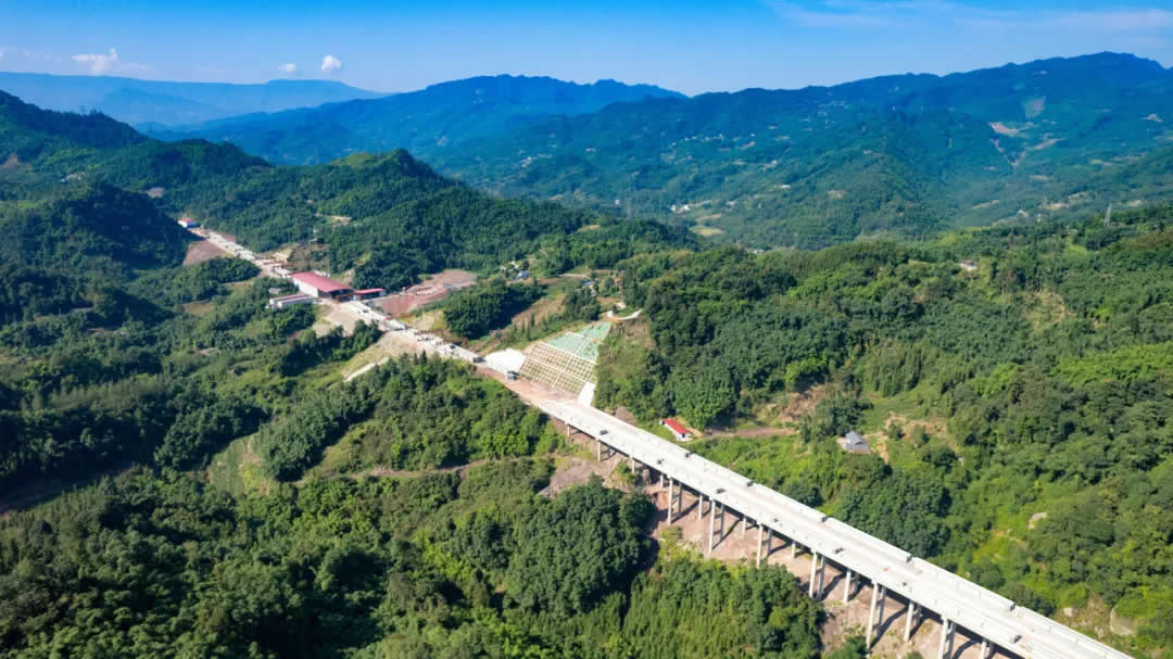 1728888149966536.jpg 1.jpg