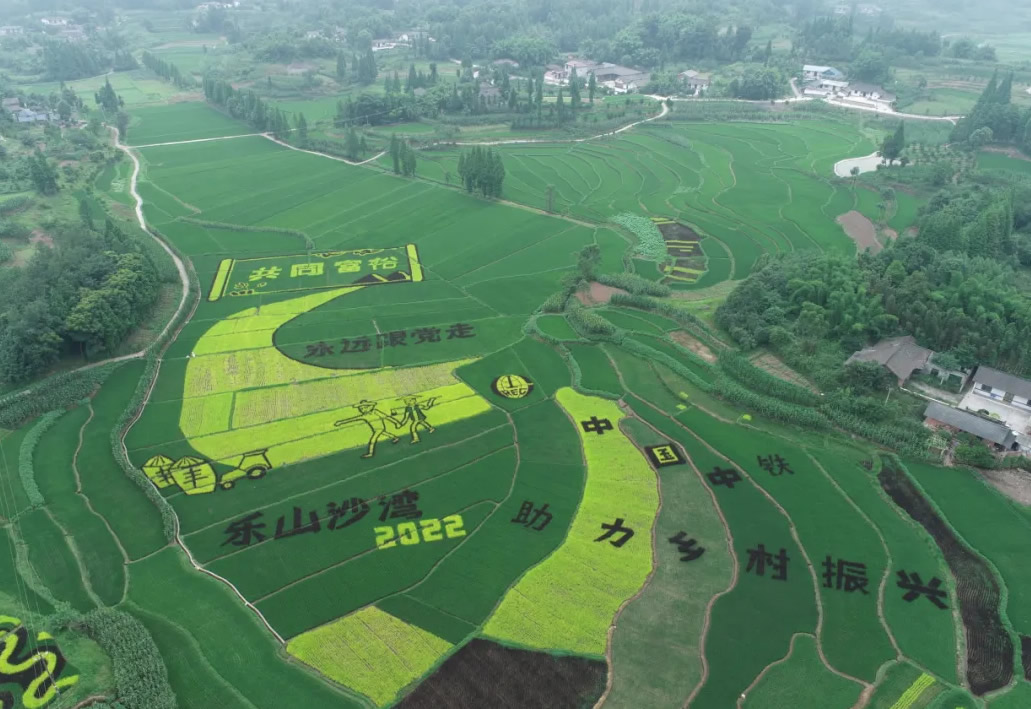 1735632872770268.jpg 未命名-6.jpg