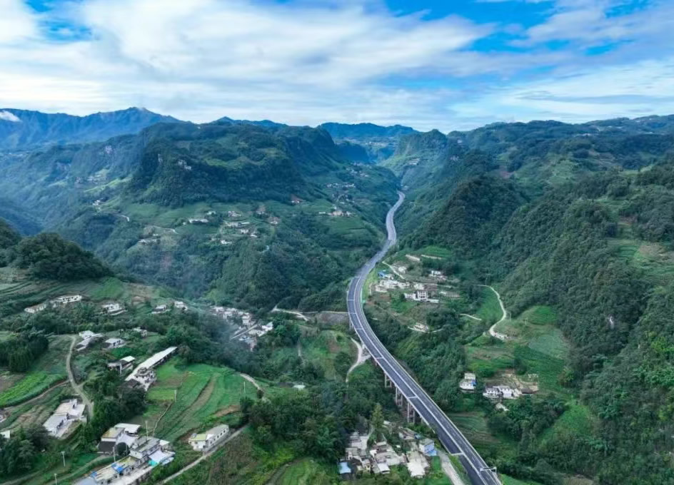 1743485730967870.jpg 1.jpg