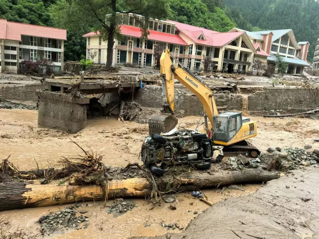 1755069233749871.jpg 1.webp (14).jpg